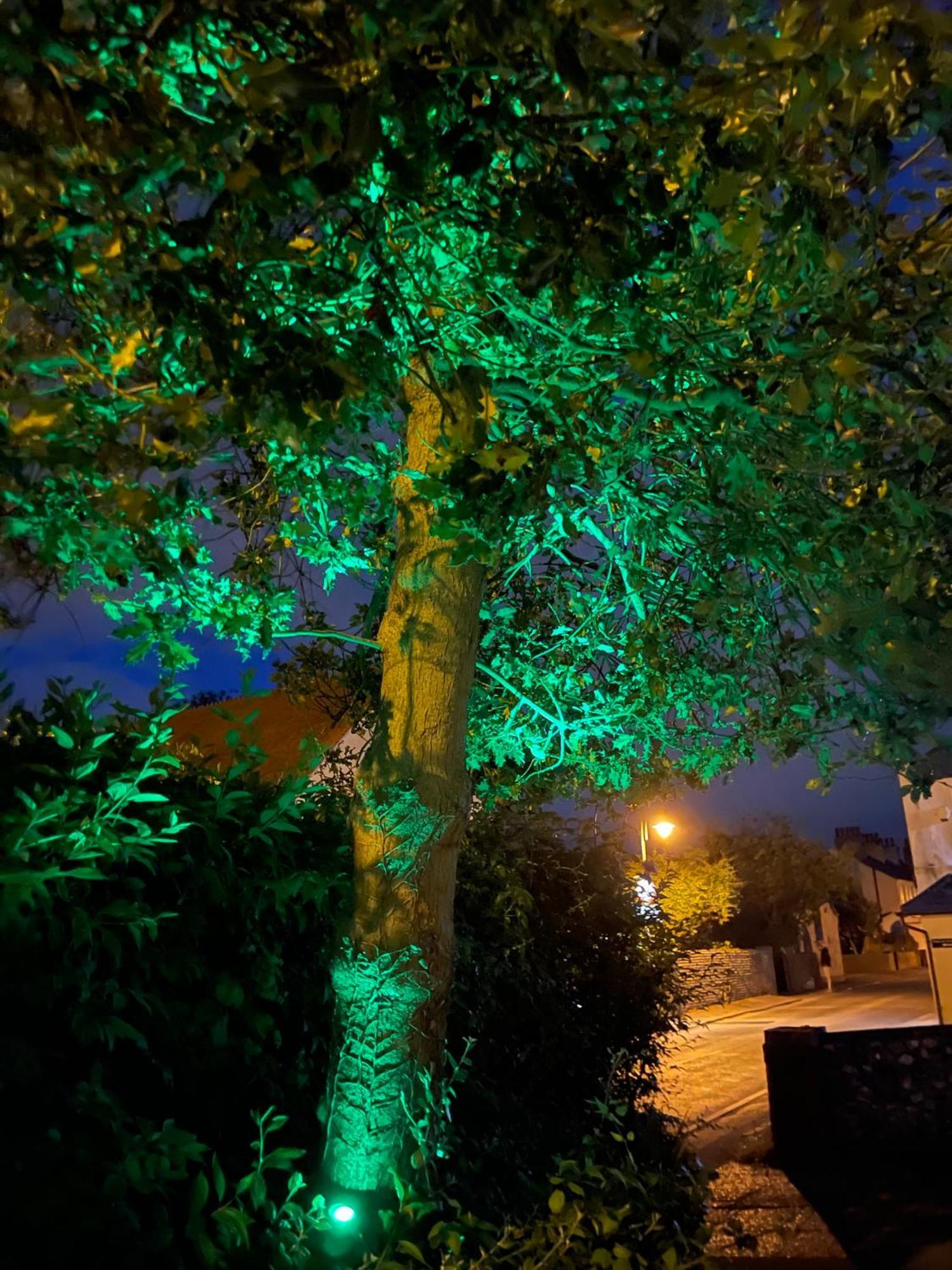Close To Sea And South Downs National Park - Sompting Exterior photo